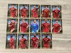 Panini cards ‘ Tousensemble ‘ Rode Duivels (2015), Verzamelen, Ophalen of Verzenden, Zo goed als nieuw, Poster, Plaatje of Sticker