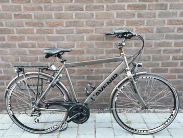 Herenfiets / jongensfiets L'avenir H56 beschikbaar voor biedingen