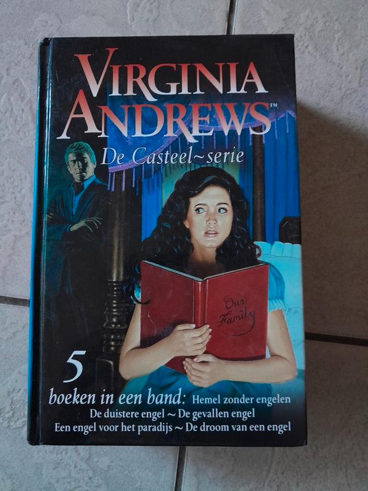 Virginia Andrews - De Casteel-serie omnibus, Livres, Thrillers, Comme neuf, Enlèvement