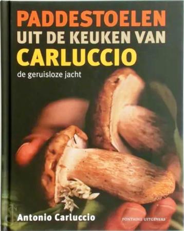 Paddestoelen uit de keuken van Carluccio disponible aux enchères