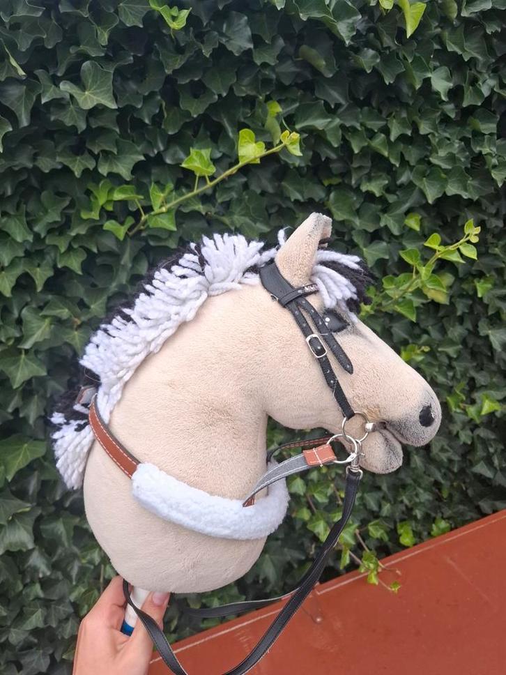 Hobbyhorse fjord, Kinderen en Baby's, Speelgoed | Buiten | Actiespeelgoed, Zo goed als nieuw, Ophalen of Verzenden