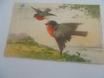fantasie kaart- zwaluw, Ophalen of Verzenden, 1920 tot 1940, Gelopen, Natuur