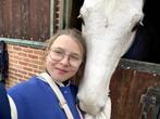 cheval de soin recherché dans la région de Tremelo, Animaux & Accessoires, Moins de 160 cm