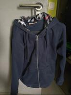 Burbery vest blauw, Kleding | Heren, Truien en Vesten, Nieuw, Ophalen of Verzenden, Burberry, Maat 48/50 (M)