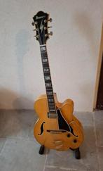 Ibanez PM20 (zeldzaam) met erg mooie koffer., Muziek en Instrumenten, Snaarinstrumenten | Gitaren | Elektrisch, Ophalen, Zo goed als nieuw