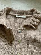 Mooie pull, gilet, golf maat 38/40, Kleding | Dames, Maat 38/40 (M), Ophalen of Verzenden, Zo goed als nieuw, Mireille AHN