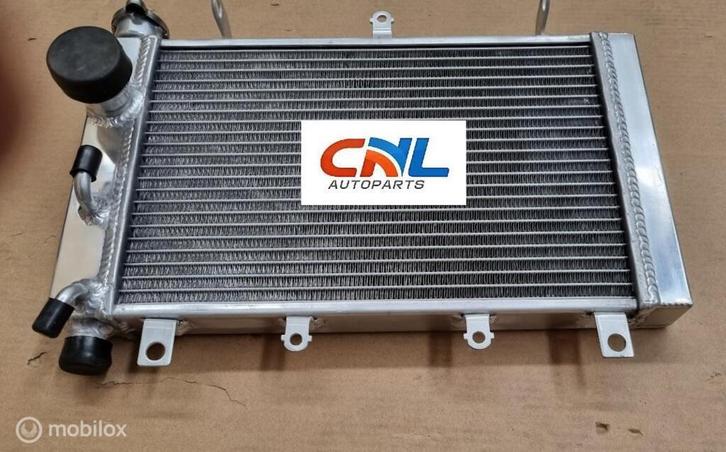 Radiateur for Triumph TT 600 TT600 2000-2003 01 02, Motoren, Onderdelen | Merk-onafhankelijk, Nieuw, Ophalen of Verzenden