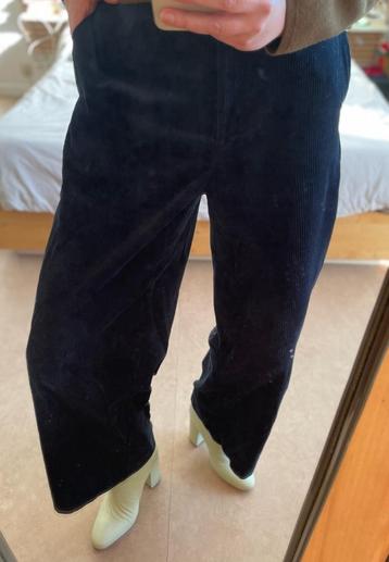 Donkerblauwe velouren broek beschikbaar voor biedingen