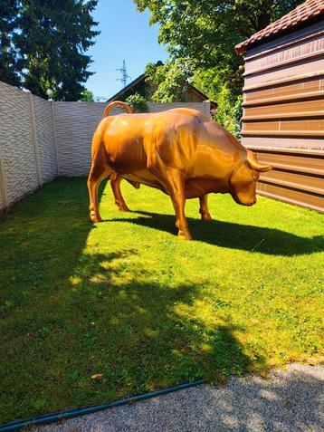 Gouden design Stier  beschikbaar voor biedingen