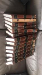 Standaard encyclopedie 13 delen, Boeken, Ophalen of Verzenden, Zo goed als nieuw