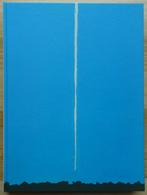 Michiel Hendryckx, Dolen, 2009, Lannoo **signed**, Ophalen of Verzenden, Zo goed als nieuw, Fotografie algemeen