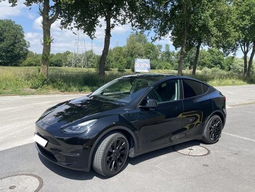 Tesla Model Y Long Range, Auto's, Tesla, Particulier, Model Y, 360° camera, 4x4, ABS, Achteruitrijcamera, Adaptive Cruise Control