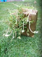 7 mooie beige stenen bloempotten., Tuin en Terras, Ophalen, Tuin, Steen, Minder dan 30 cm