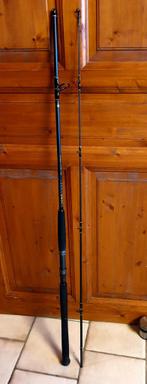 Canne Black cat solid spin .
240 cm., Ophalen, Zo goed als nieuw