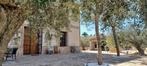 Splendide propriété avec terrain à Fortuna ( Murcia ), FORTUNA, Campagne, 280 m², Maison d'habitation