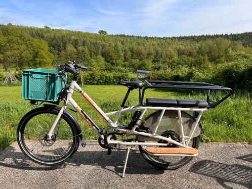 Vélo électrique Radwagon, Vélos & Vélomoteurs, Vélos | Vélos avec bac, Utilisé, Autres marques, 2 enfants, Électrique, Enlèvement