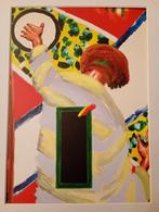 Roger Raveel Magie, Ophalen of Verzenden