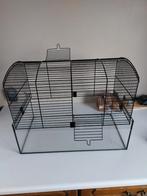 Kooi voor kleine knaagdieren, Kooi, Zo goed als nieuw, Ophalen, Minder dan 60 cm