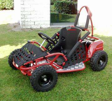 Kinderbuggy - 1000 watt 48 volt 3 snelheden beschikbaar voor biedingen