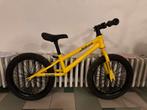 Extra grote loopfiets 16”, Ophalen of Verzenden, Gebruikt, 16 tot 20 inch