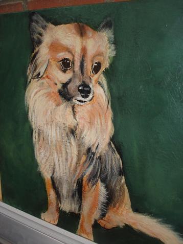 Schilderij op doek geschilderd, Hondenlief hondje 50x50cm beschikbaar voor biedingen