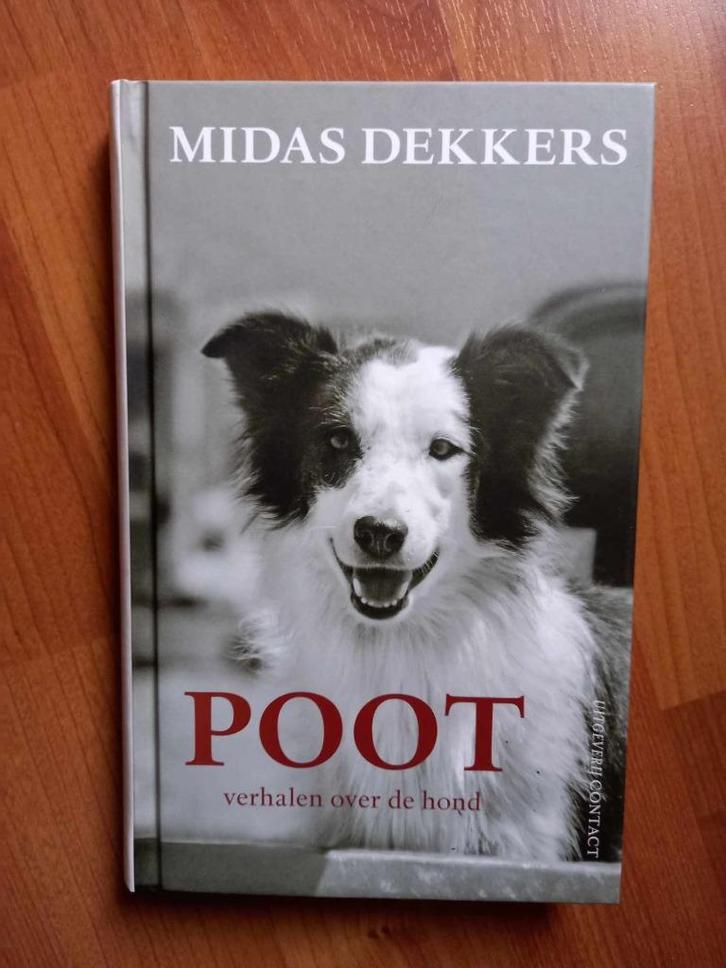 Poot - Midas Dekkers (Verhalen over de hond) (2009), Livres, Animaux & Animaux domestiques, Neuf, Chiens, Envoi
