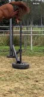 Hindernissen / sprongen, Dieren en Toebehoren, Ophalen, Zo goed als nieuw