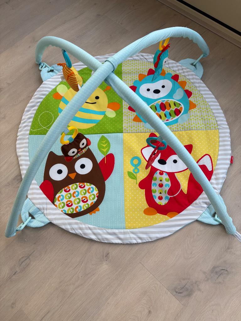 Speelmat / Activity Gym Skip*Hop, Enfants & Bébés, Jouets | Vêtements de jeu, Utilisé, Enlèvement