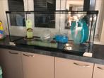 Grote glazen hamsterkooi mer toebehoren, Dieren en Toebehoren, Kooi, Hamster, 75 tot 110 cm, Ophalen