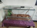 Terrarium 40 bij 1m20 bij 50 hoogte, Dieren en Toebehoren, Reptielen en Amfibieën | Toebehoren, Ophalen, Zo goed als nieuw