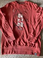 Trui (146/152) WE, Garçon, WE, Enlèvement ou Envoi, Pull ou Veste