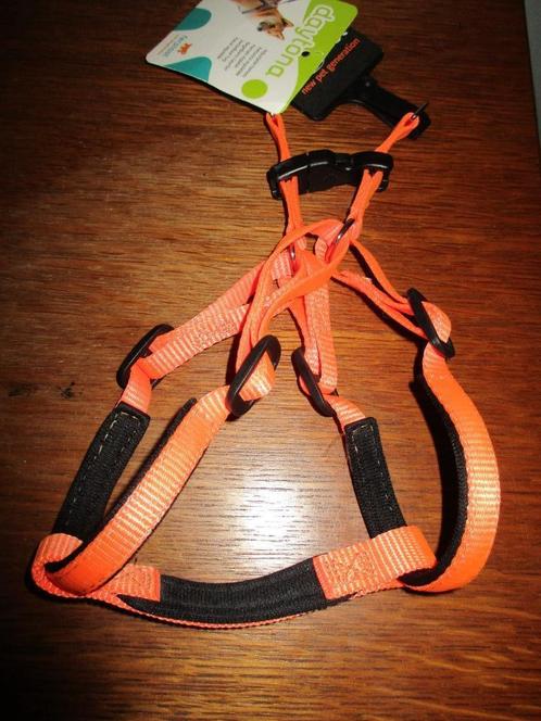 hondenharnas (tuig), Dieren en Toebehoren, Overige Dieren-accessoires, Nieuw, Ophalen of Verzenden