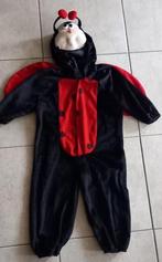 Verkleed  LIEVEHEERSBEESTJE maat 98, Kinderen en Baby's, Carnavalskleding en Verkleedspullen, Verzenden, Zo goed als nieuw, 104 of kleiner