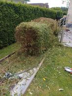 Jardinier à votre servise, Ophalen