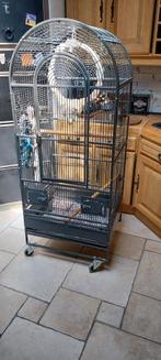 Cage perroquet, Ophalen, Zo goed als nieuw