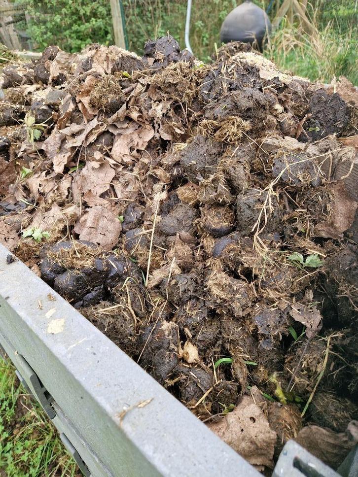 Gratis paardenmest voor een vruchtbare moestuin!, Tuin en Terras, Aarde en Mest, Mest, Ophalen