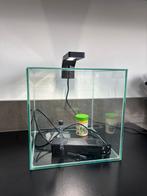 Aquarium Cube 26L – compleet + extra’s, Dieren en Toebehoren, Ophalen, Zo goed als nieuw, Leeg aquarium