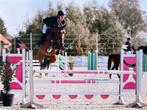 Springpony, Dieren en Toebehoren, Springpony