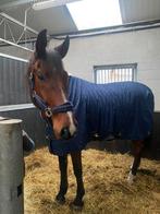 Dressuurpaard snelle verkoop, Dieren en Toebehoren, Paarden, Ruin, Dressuurpaard