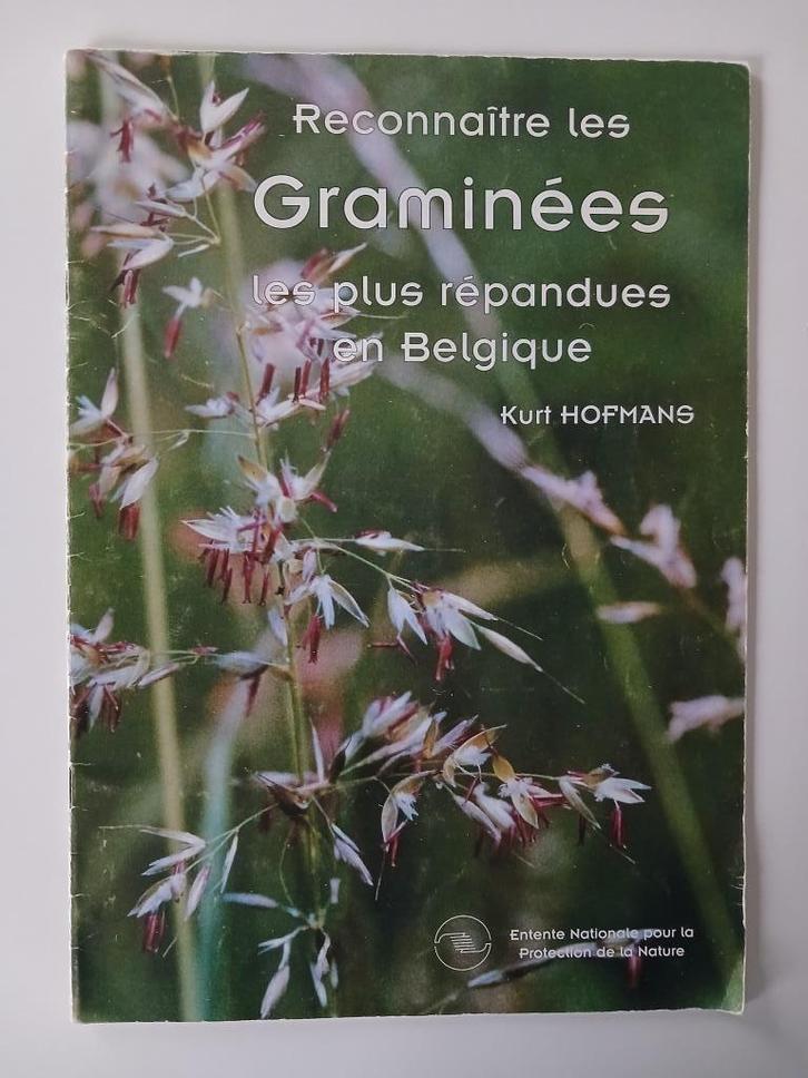 De grassen van België herkennen - Kurt Hofmans - 2000, Boeken, Natuur, Gelezen, Overige onderwerpen, Ophalen