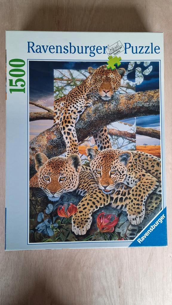 4 leuke puzzels, Hobby en Vrije tijd, Denksport en Puzzels, Gebruikt, Ophalen of Verzenden