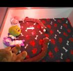 Werpkist xxxl met 4vetbedden, Dieren en Toebehoren, Ophalen