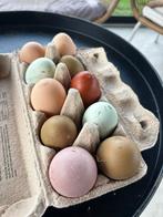 Broedeieren groenleggers, Dieren en Toebehoren, Ophalen, Overige typen