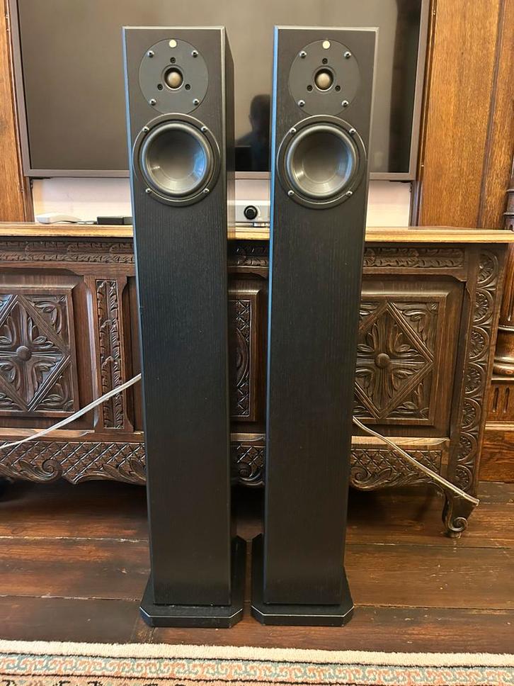 Totem Arro zwart, Audio, Tv en Foto, Luidsprekerboxen, Gebruikt, Front, Rear of Stereo speakers, Overige merken, Ophalen