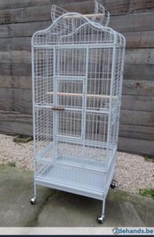 Cage perroquet Deluxe, Animaux & Accessoires, Oiseaux | Cages & Volières, Neuf, Cage à oiseaux, Métal, Enlèvement ou Envoi