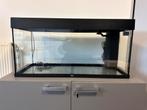 Juwel aquarium, Dieren en Toebehoren, Vissen | Aquaria en Toebehoren, Ophalen, Zo goed als nieuw