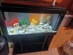 Aquarium bio+meuble complet avec déco etc..., Animaux & Accessoires, Enlèvement, Utilisé, Aquarium vide