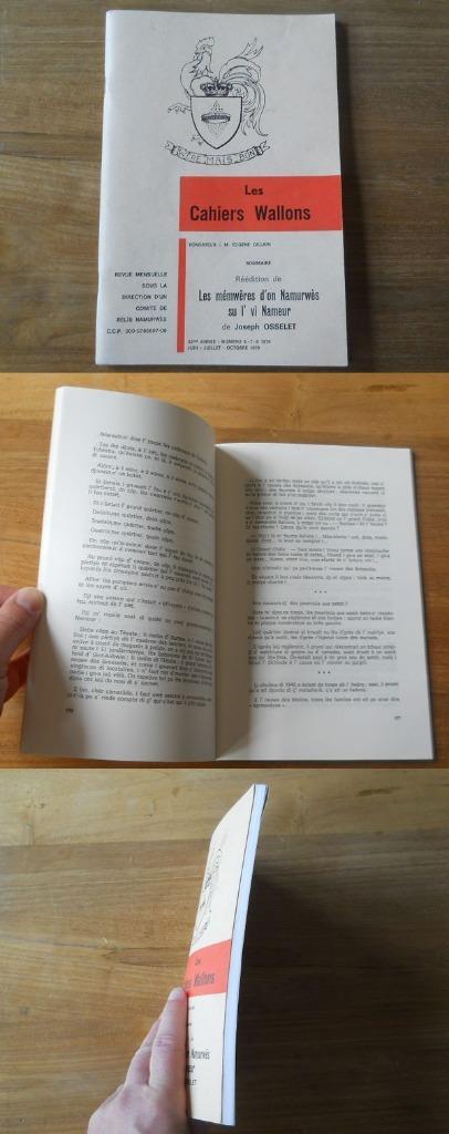 Les mémwêres d'on Namurwès su l'vî Nameur - Namur, Boeken, Streekboeken en Streekromans, Gelezen, Ophalen of Verzenden