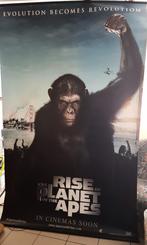 Banner Rise of The Planet Of The Apes, Verzamelen, Posters, Ophalen, Rechthoekig Staand, Deurposter of groter, Zo goed als nieuw