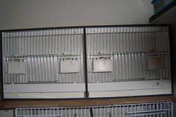 vogelkooi, Enlèvement, Comme neuf, Synthétique, Cage à oiseaux